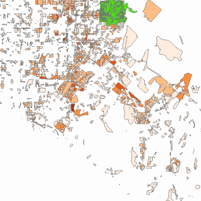 Export Image