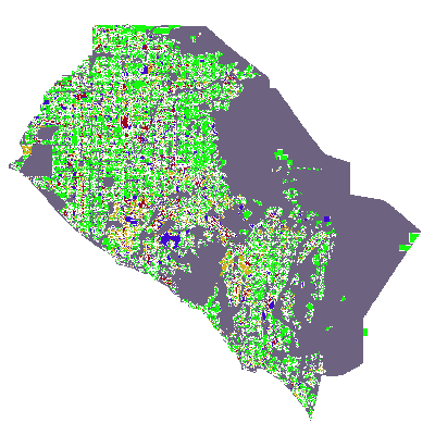 Export Image