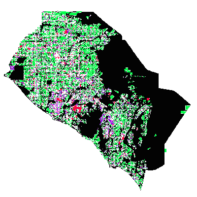 Export Image